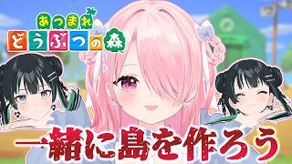 【あつ森】#天才児ぴよ で共同作業♡【パレプロ/江波キ…