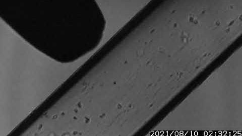 Microbubble cavitation of Sonazoid microbubbles at 3.4 MHz and 3.74 MPa