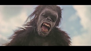 Let It Happen // Tame Impala (Music Video)