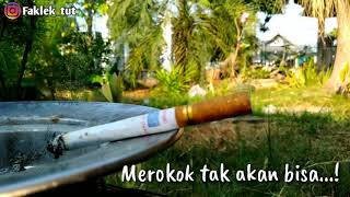 Story WA Rokok