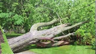 Storm Damage And Repair in Coldwater, MI - May 23rd, 2019
