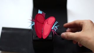 A Beating Paper Heart