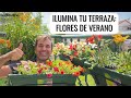 FLORES RESISTENTES para terrazas con mucho SOL Y CALOR: decorar con @NorteneTV FLORIA || en20metros