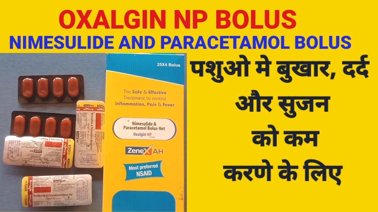 Oxalgin Np Bolus || Nimesulide And Paracetamol Bolus