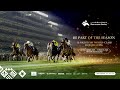 DUBAI RACING CARNIVAL LIVE 12TH DECEMBER 2025 