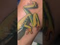 FROG TATTOO (Costa Rican Red Eye Tree Frog) #costarica #frog #tattoo #tatuajes #shorts #explorepage