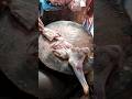 Ox mutton Cutting Skills #muttonrecepi #muttonrecepi #goatmeat #streetfood #goatmeatrecipes