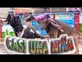 CASI UNA NIÑA Y YA MONTA BECERROS EN ESTE JARIPEO BAJO LA LLUVIA CON LOS TOROS MÁGICOS DE ROSENDO PA