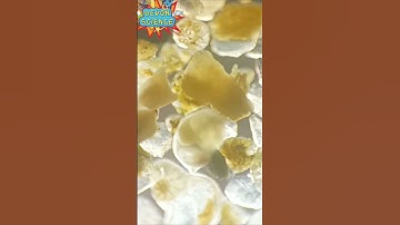 Under the Microscope: Sand