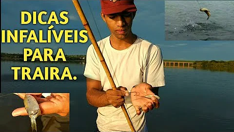 Como pescar traíra de vara?