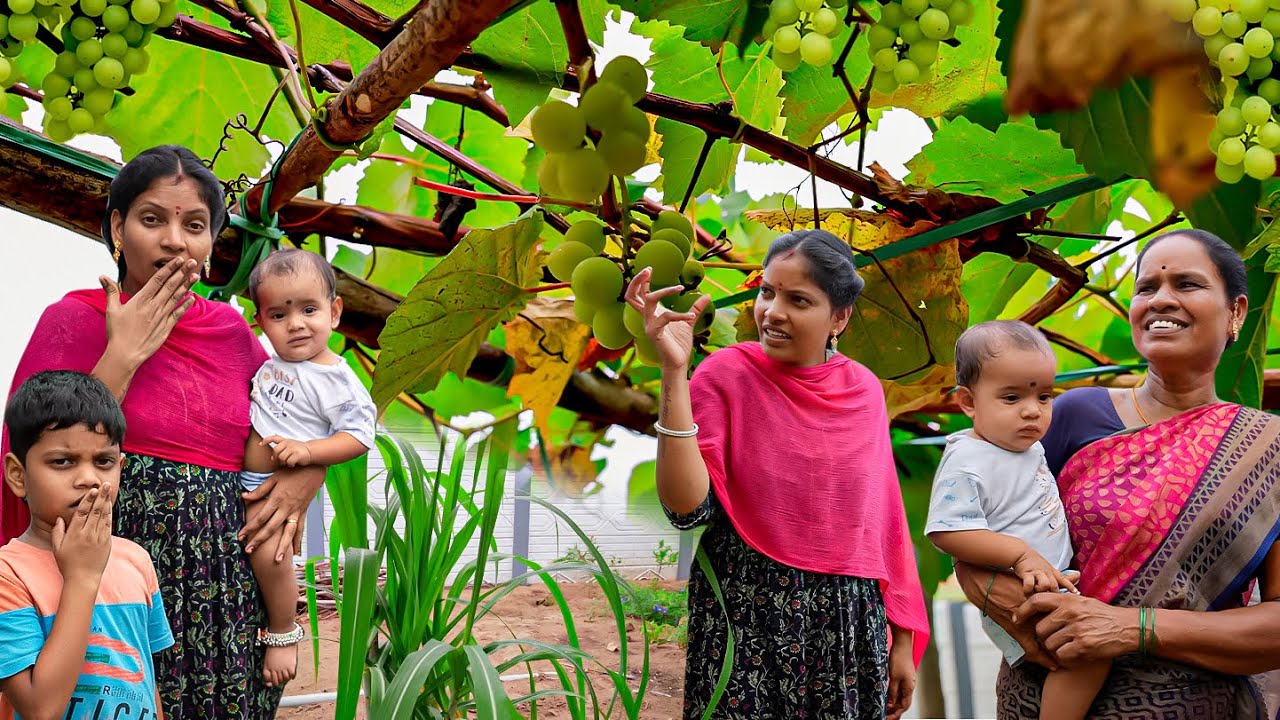 வீட்டுக்கு வந்து பாத்தா Garden மொத்தமா மாறிடுச்சு 🥳| Vinoth Seetha