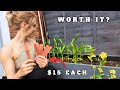 Stronger Plants and Healthier Soil with This ONE TRICK