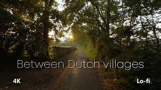 Calm Sunset Walk in the Netherlands | Cozy Lo-Fi Music for Focus & Sleep