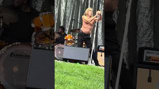 👕⚡ Iggy Pop – in the Red Hot Chili Peppers orbit – shirtless and still more alive than the feed