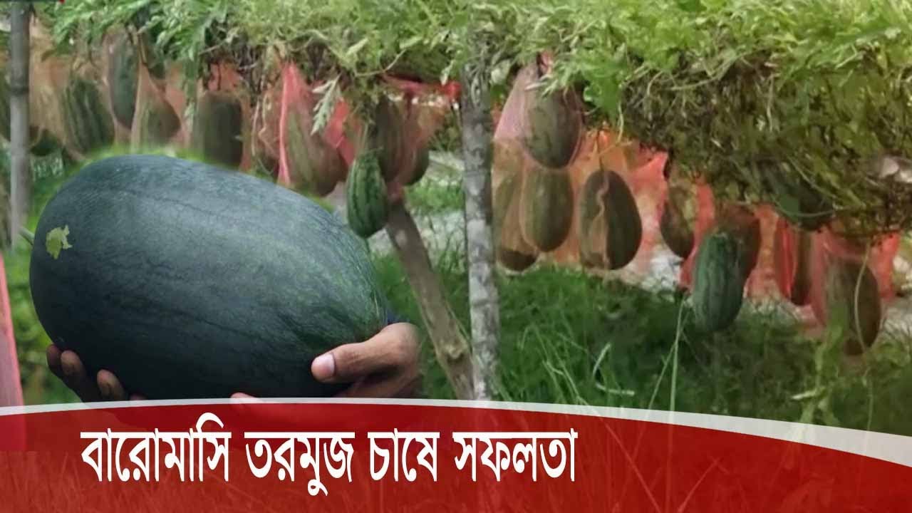 Rossiyaning eng seksual yalangoch aktrisalari Elena Berkova bilan onlayn porno filmlarni tomosha qiling