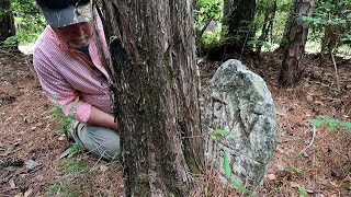 STOLEN HEADSTONES AND THE MAN WHO WAS DRAGGED TO DEATH BY A MULE | WINFREY CEMETERY