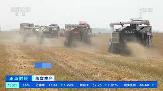 [正点财经]粮食生产 湖北襄阳：540万亩小麦开镰 抢抓农时收割|CCTV财经
