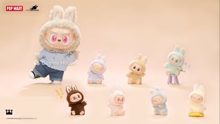 POP MART LABUBU SPECIAL FIGURE & BLIND BOX | Flip with Me