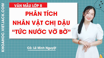 Phân tích nhân vật chị Dậu trong đoạn trích Tức nước vỡ bờ của Ngô Tất Tố - Văn mẫu 8 (HAY NHẤT)