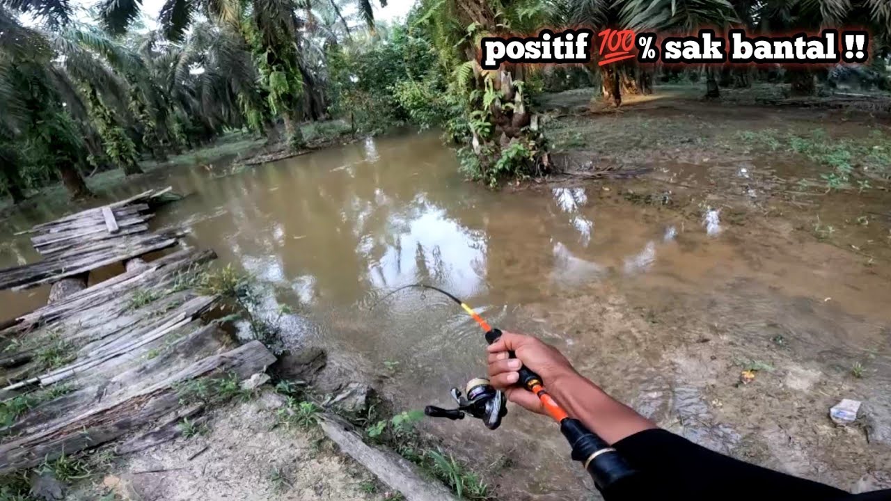Gila !! Sebesar apa ikan yang Nyambar umpan ku ini 