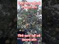 SHAKTIMAN TREE #jpdubey #song #subscribe #ख़बर1इंडिया #videoshorts #reels #अनूप पुरवईया