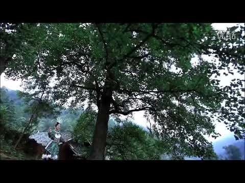 天下苗家  Miao/Hmong are one Family under Heaven