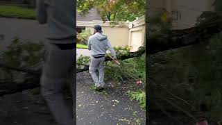 #Storm damage⛈️