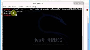 Shellshock Exploit (CVE-2014-6271)