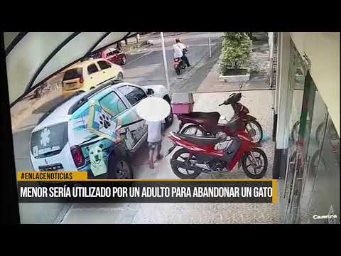 GATO DEJADO EN VETERINARIA