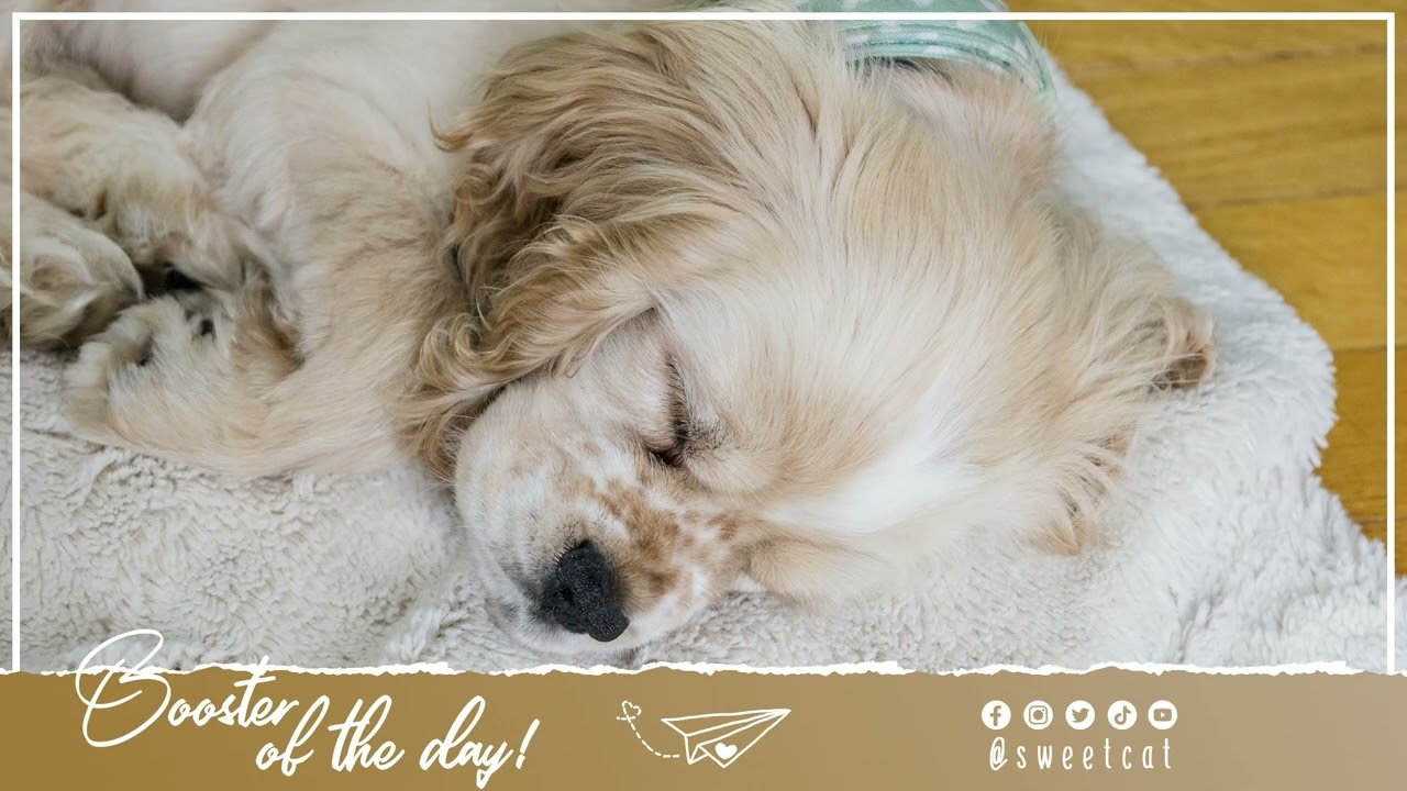 i-m-going-to-make-a-very-beautiful