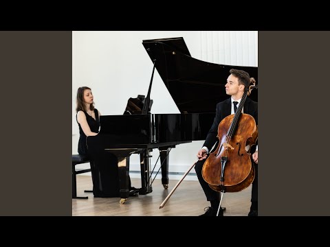 Related Embedded Video Item Thumbnail