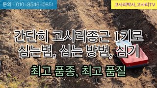 간단히 고사리종근 고사리뿌리 1키로 심는법,심는방법,심기