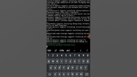 Install Laravel 8.0 on Sony Xperia 5 II with Termux.