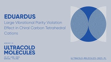 Eduardus "Large Vibrational Parity Violation Effect in Chiral Carbon Tetrahedral Cations"