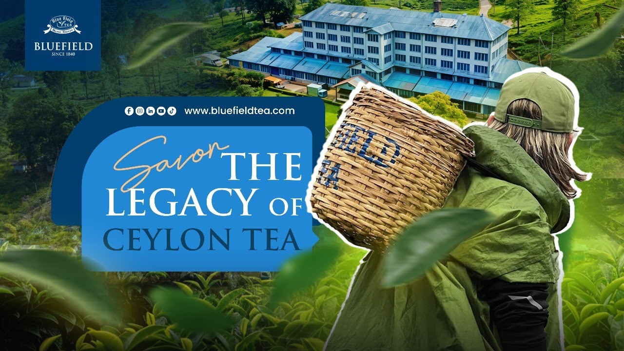 Discover the Hidden Story of Ceylon Tea - YouTube