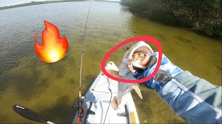 Kayak Fishing the backwaters with NLBN lures 