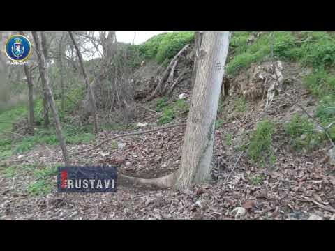ტყე-პარკში ხეები უკანონოდ მოჭრეს