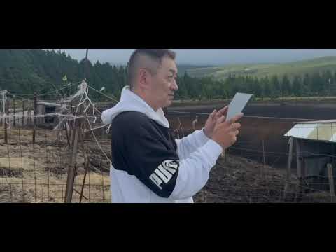 #asmr #vacation #ASO Kumamoto#asmr