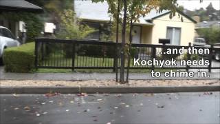 2014 11 30   Husky Vocalizations