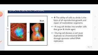 general biology - Ch 1 || cell & Dna - video #3