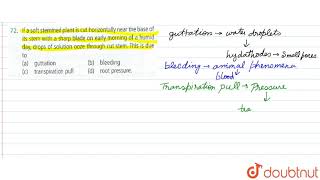 यदि किसी नरम तने वाले पौधे को उसके तने के आधार के पास से तेज ब्लेड से प्रारंभिक अवस्था में क्षैति... screenshot 4