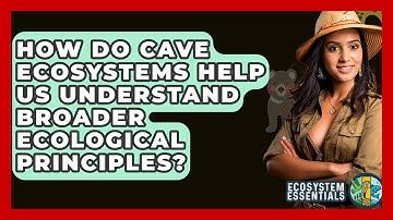 How Do Cave Ecosystems Help Us Understand Broader Ecological Principles? - Ecosystem Essentials
