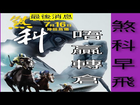街市佬又爆料!7月16沙田煞科!又有[重磅消息]上4次消息馬命中「博望坡」「怪獸豪俠」「龍之心」「競進光輝」!今次又再教大家贏馬「數學知識」。入會有特別資訊 WhatsApp 53002997回88