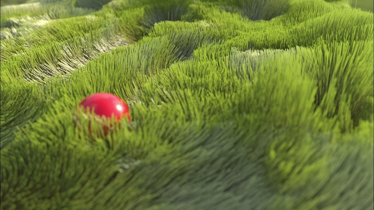 Ball Rolling on the Grass YouTube