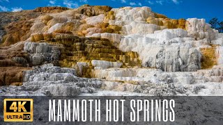 Mammoth Hot Springs | Yellowstone National Park