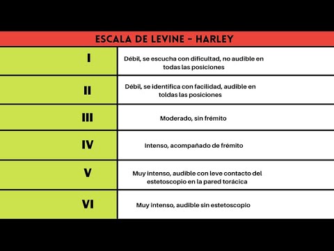 🔴 ESCALA DE LEVINE HARLEY - YouTube