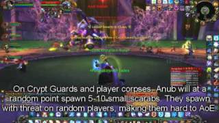 Naxx 10 man. How to Kill Anub'Rekhan