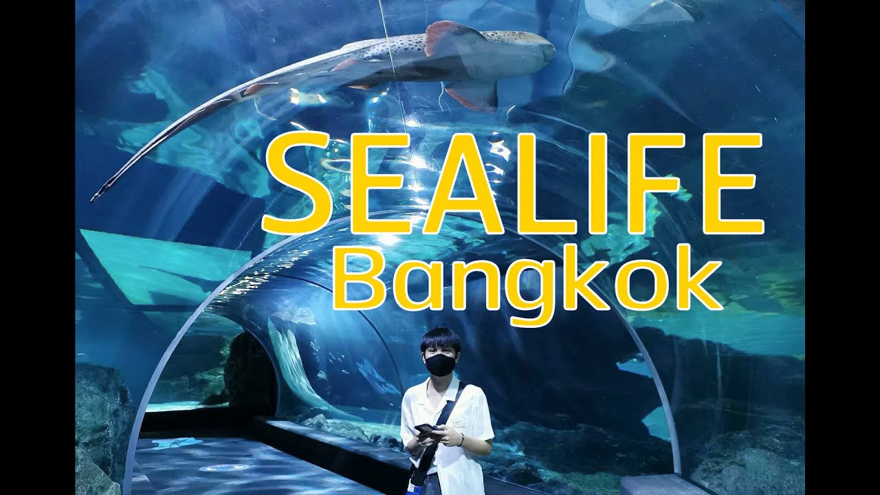 SEA LIFE Bangkok Ocean World เปิดละจ้าาา