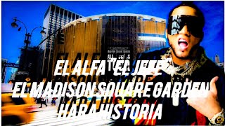 EL ALFA "EL  JEFE " MADISON SQUARE GARDEN