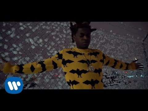 Kodak Black - When Vultures Cry